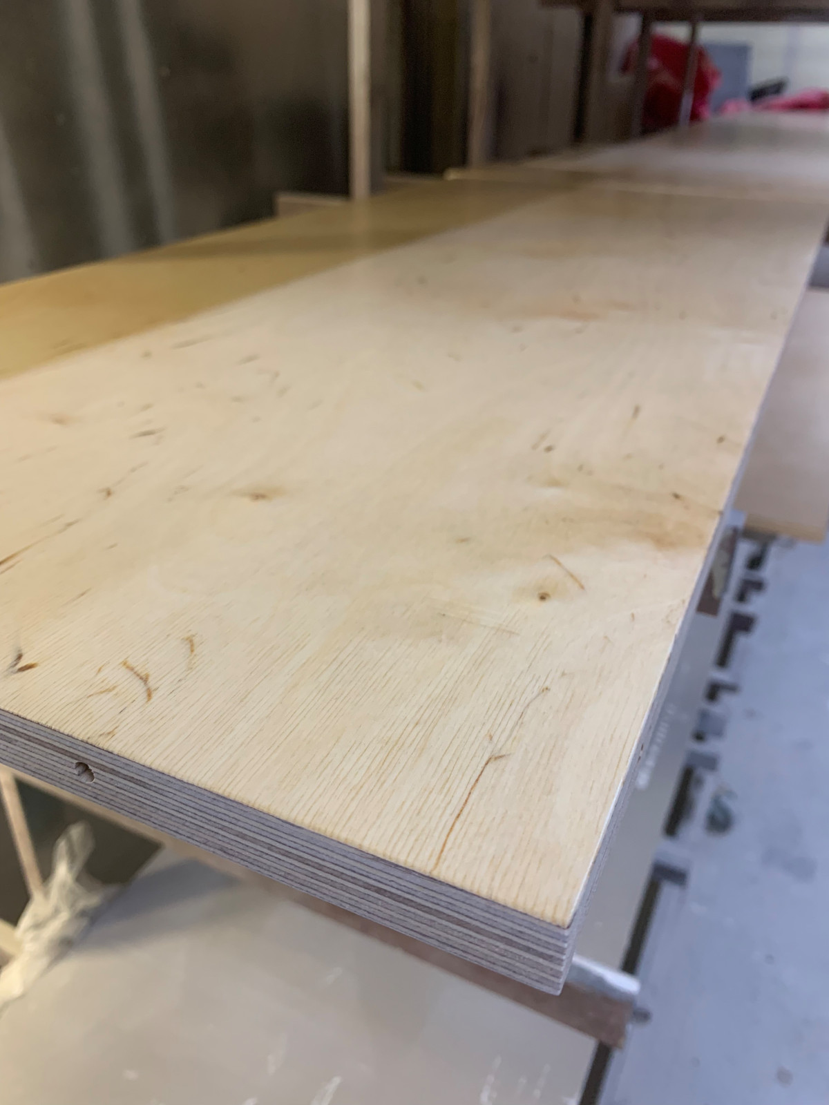 Михаил Польшин