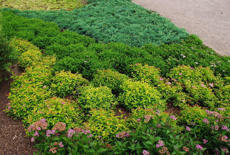 Валаам...Земля -загадка ..и большая наша любовь