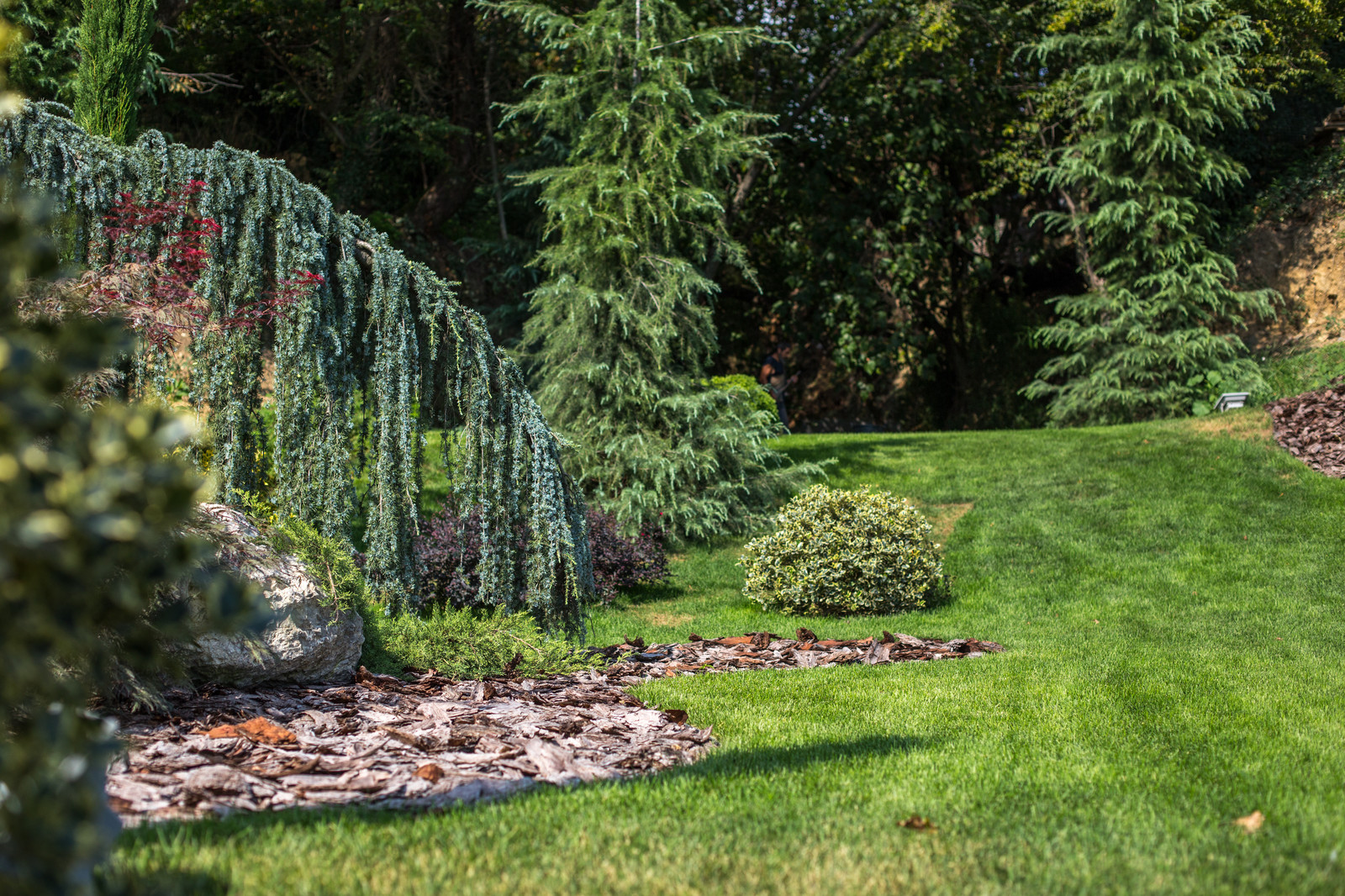 Ландшафтный Дизайн Олимпийский Сочи