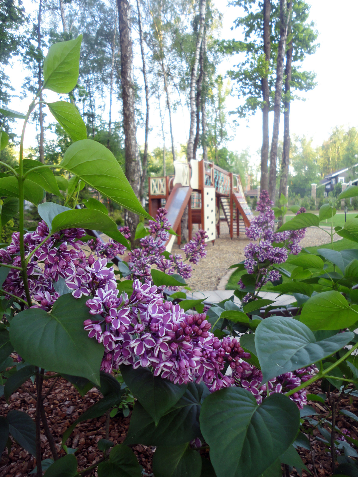 Сад резиденции для большой семьи