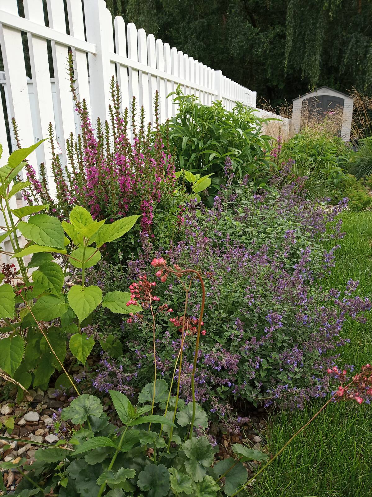 Английский садик