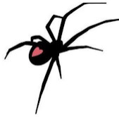 ксения миронова