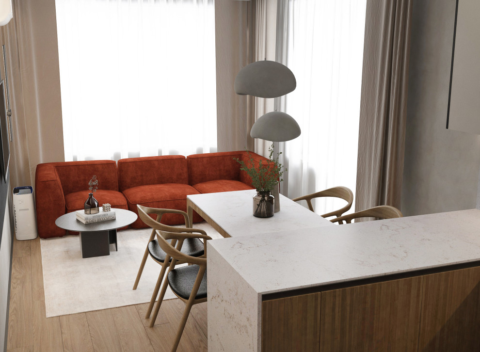 Кухня-гостиная, прихожая 34,5 м2 в ЖК Панин, г. Нижний Новгород