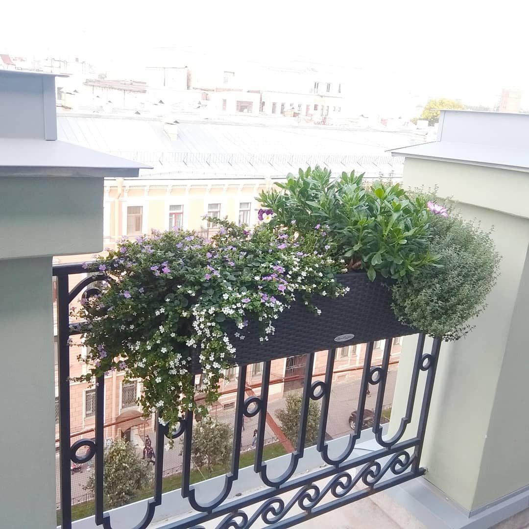 Озеленение офиса компании Кефир