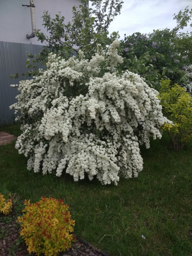 Сад для двоих