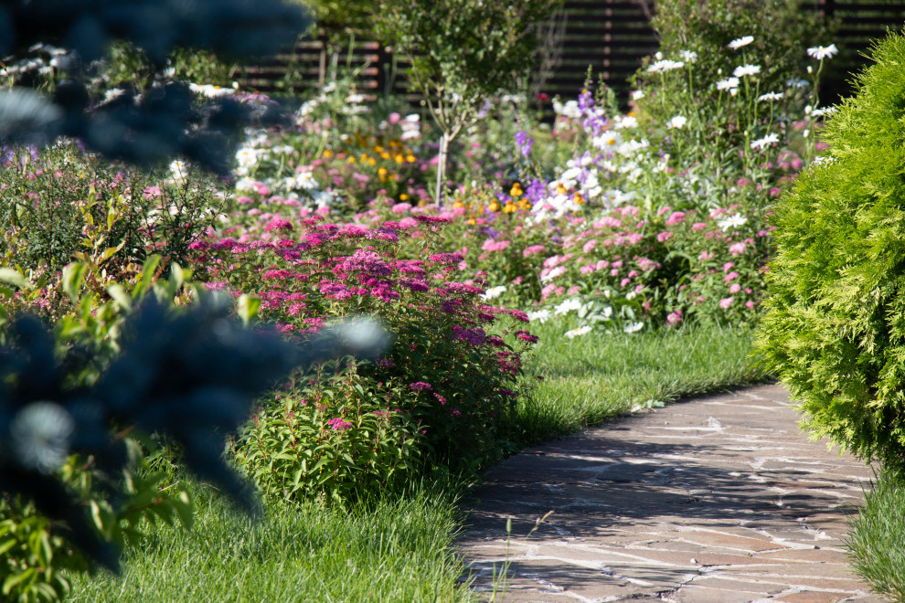 Сосновые берега