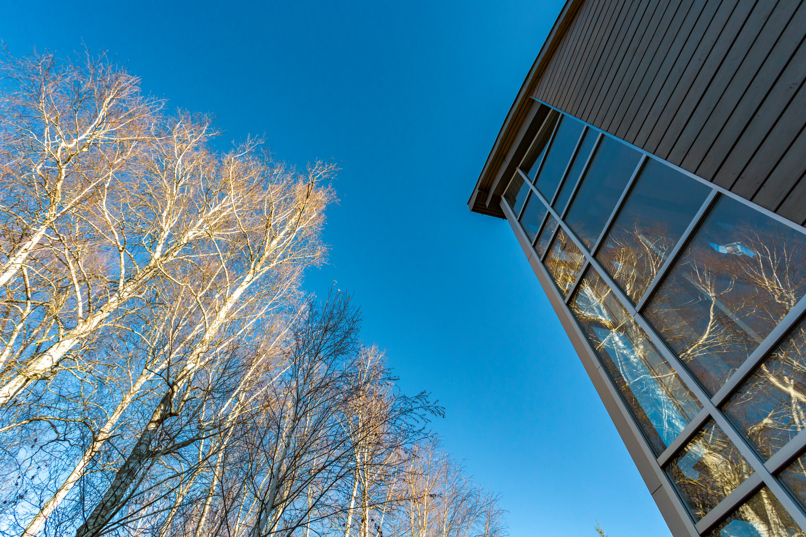 Загородный дом в современном стиле