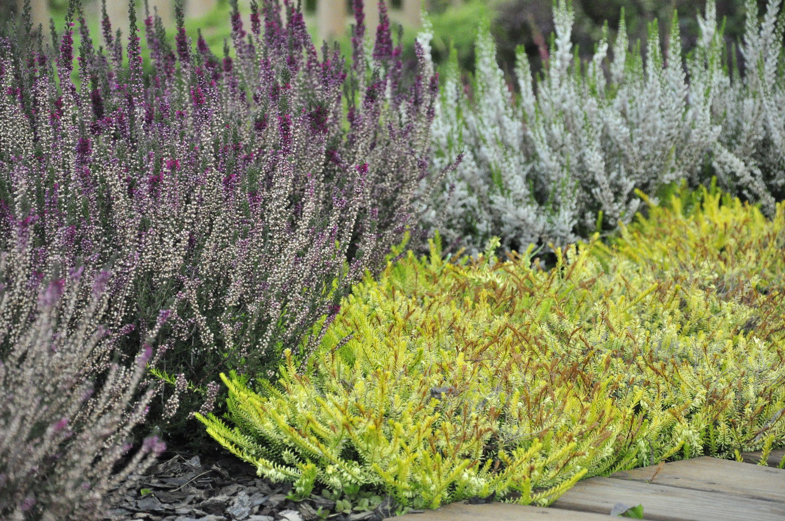 д. Коровино - Уход за садом - 100% качество