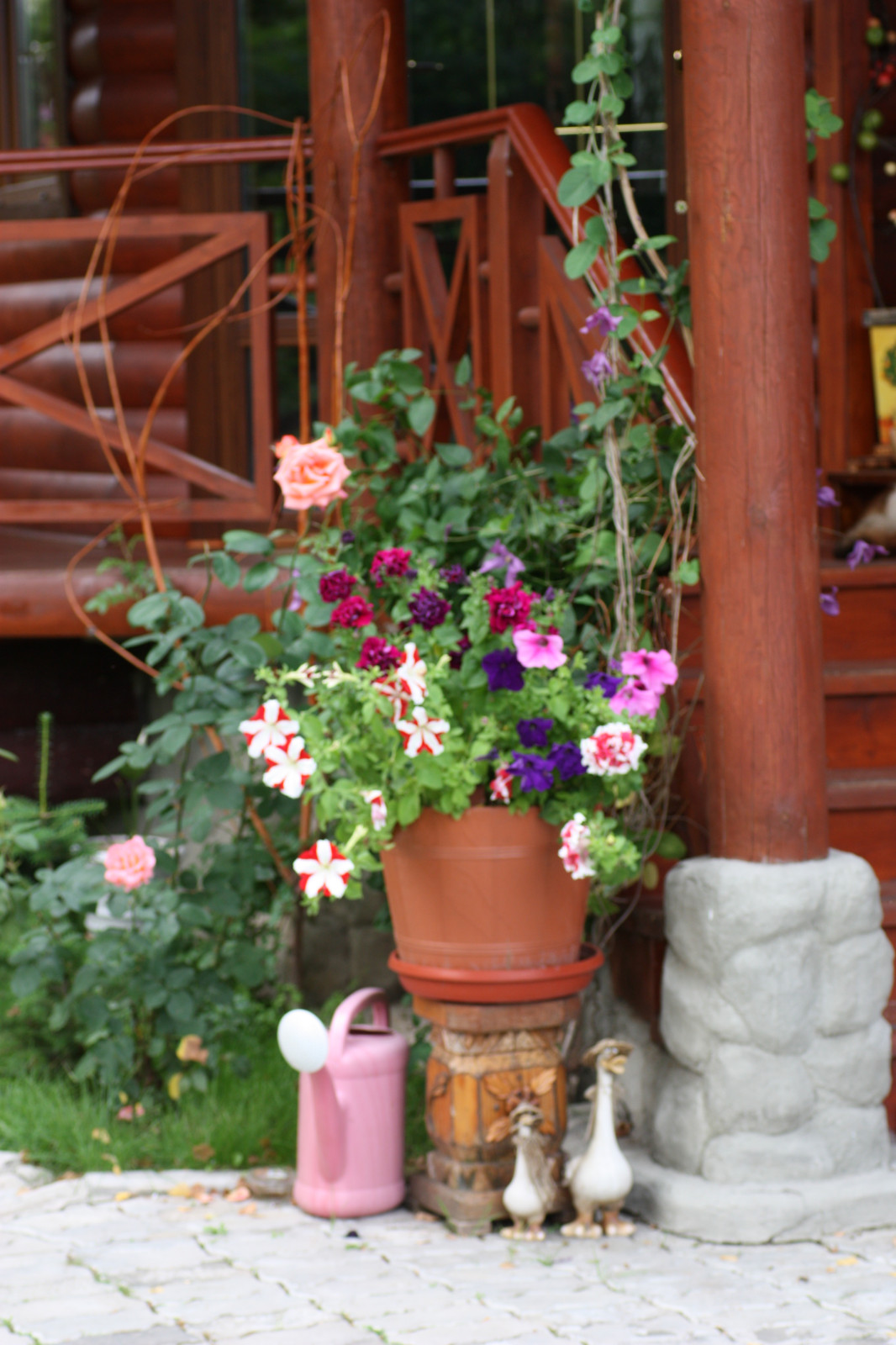 Вписываясь в природу