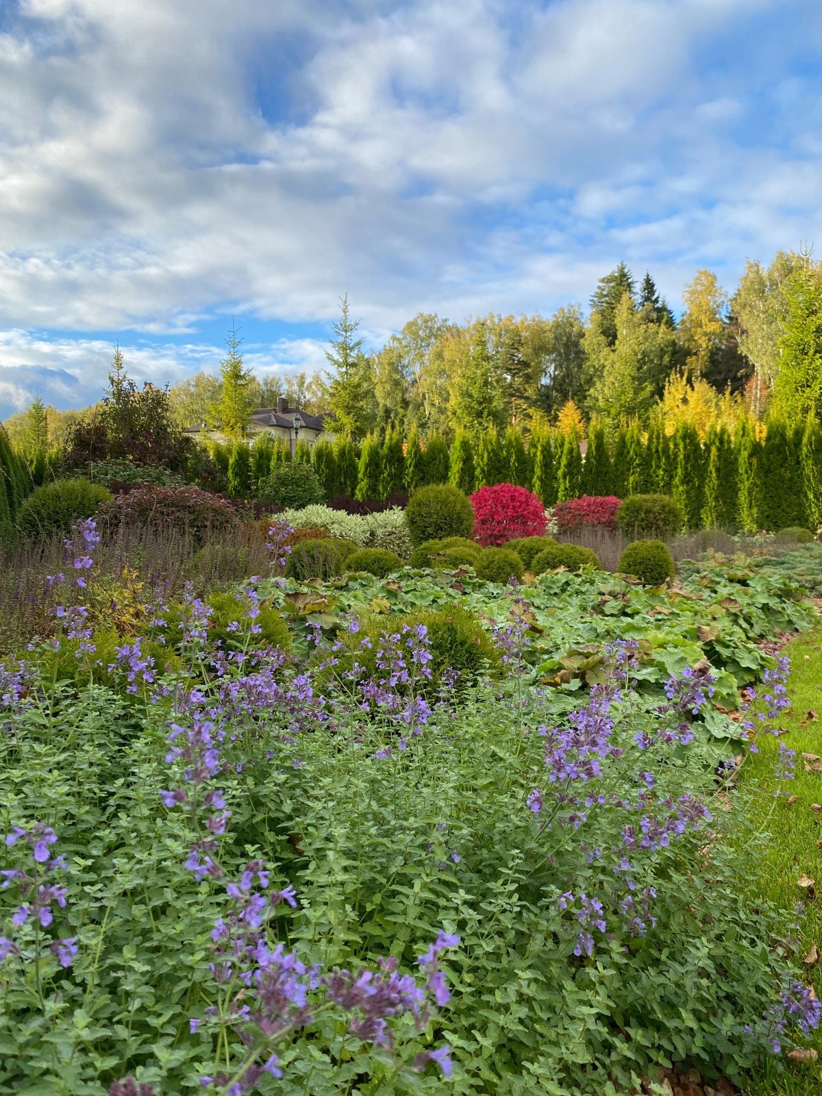 Обложка проекта: Калужское шоссе