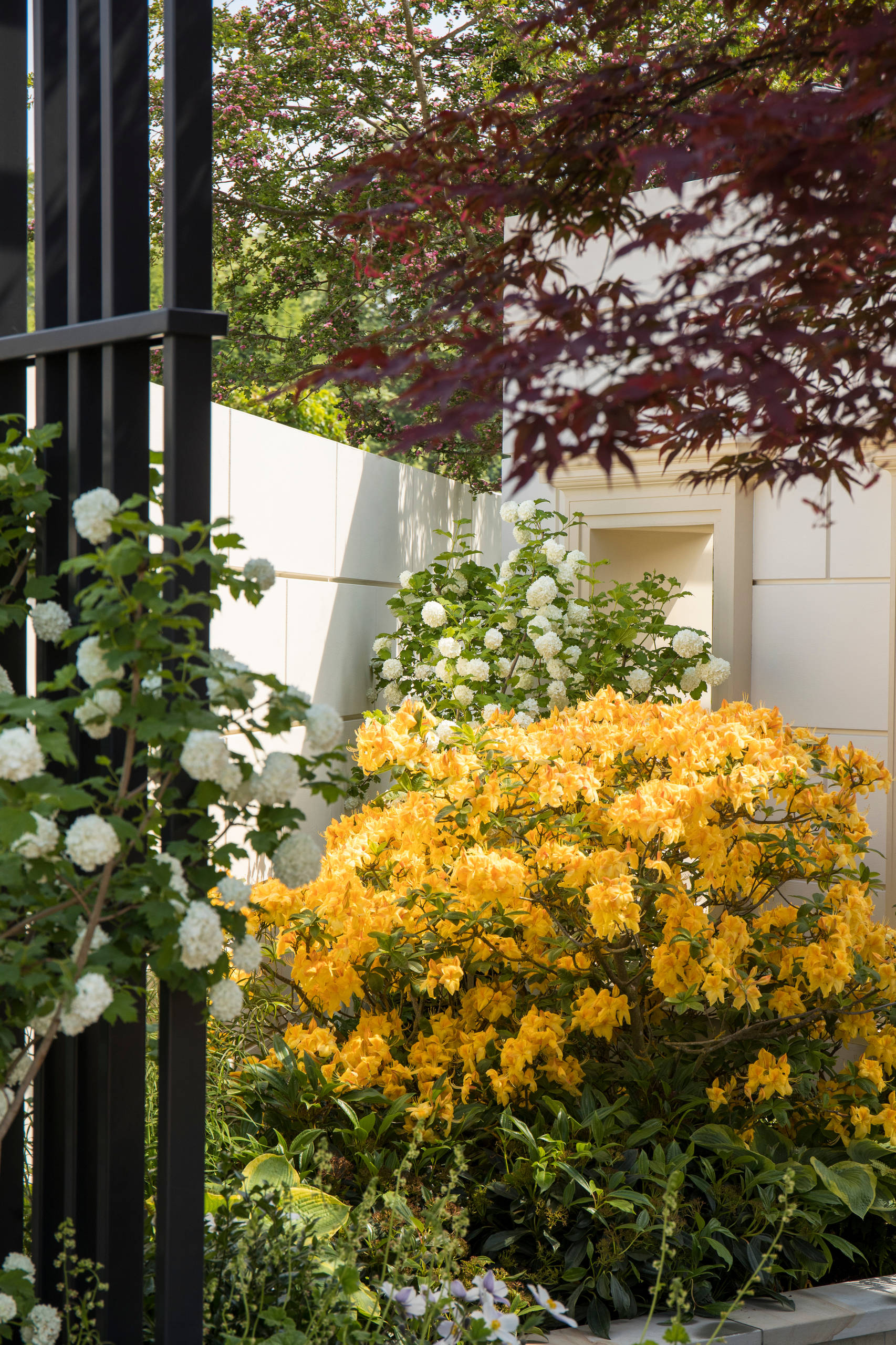 Уроки Chelsea Flower Show: Сад хорошего самочувствия
