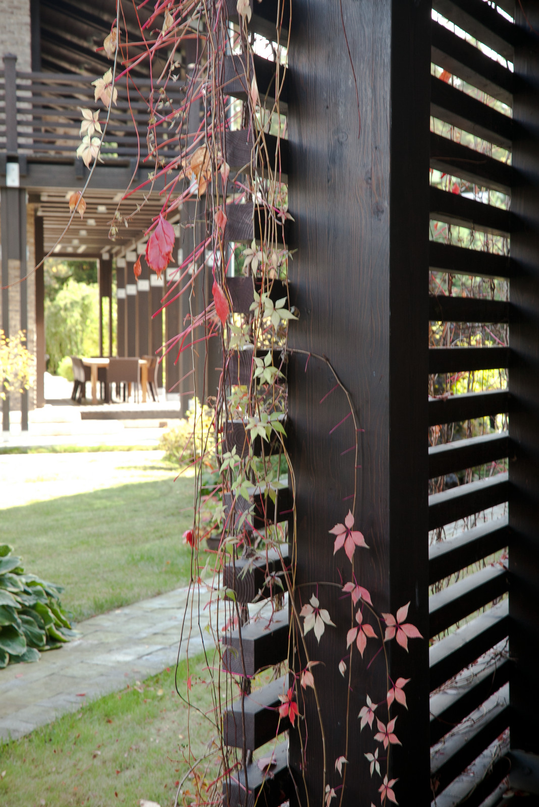 Николо-Урюпино