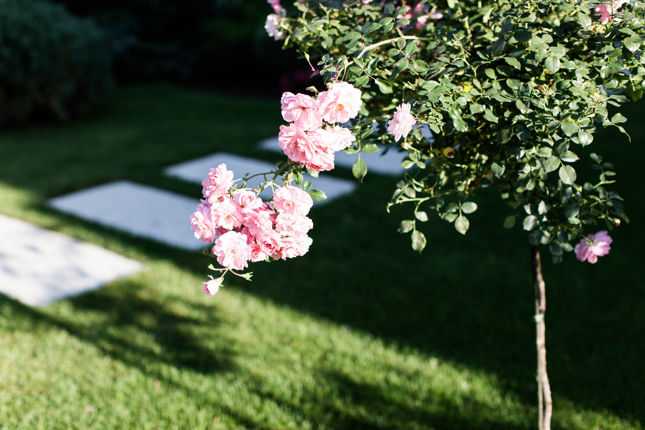 В гостях: Минимализм в Подмосковье, где сад интегрирован в дом