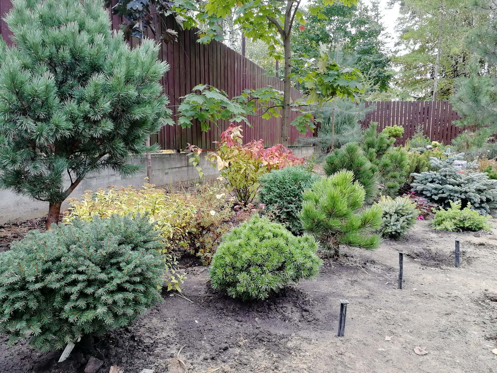 Обложка проекта: Реализация проект " Вечная любовь"