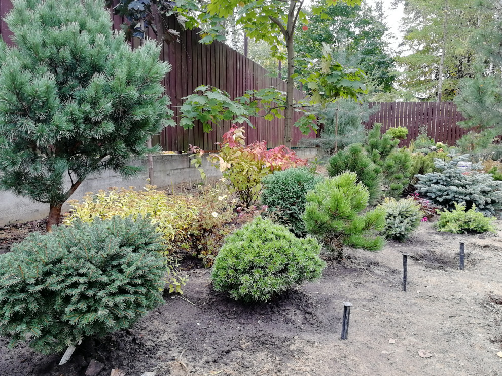 Обложка проекта: Реализация проект " Вечная любовь"