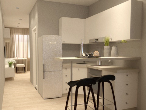 Новый тип квартир студий с минимальной жилой площадью