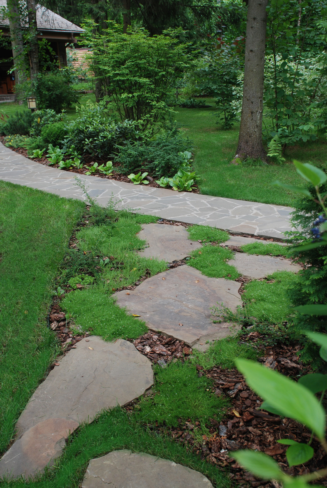 Успенское шоссе РИИТА