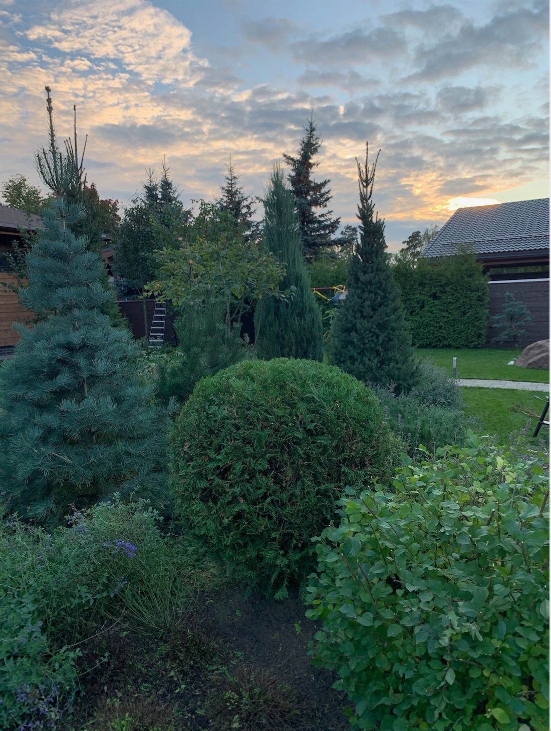 Обложка проекта: НИВА Ильинское шоссе