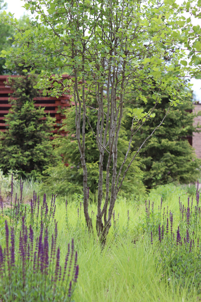 WB Парковая часть