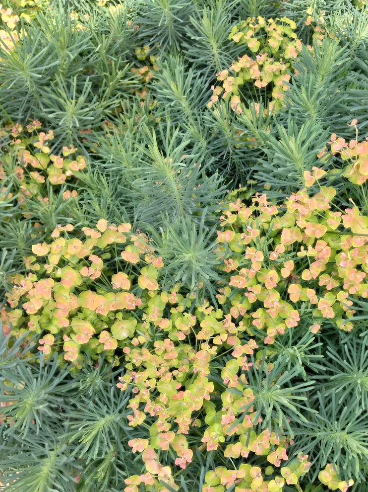 Обложка проекта: Рисунок для Леры