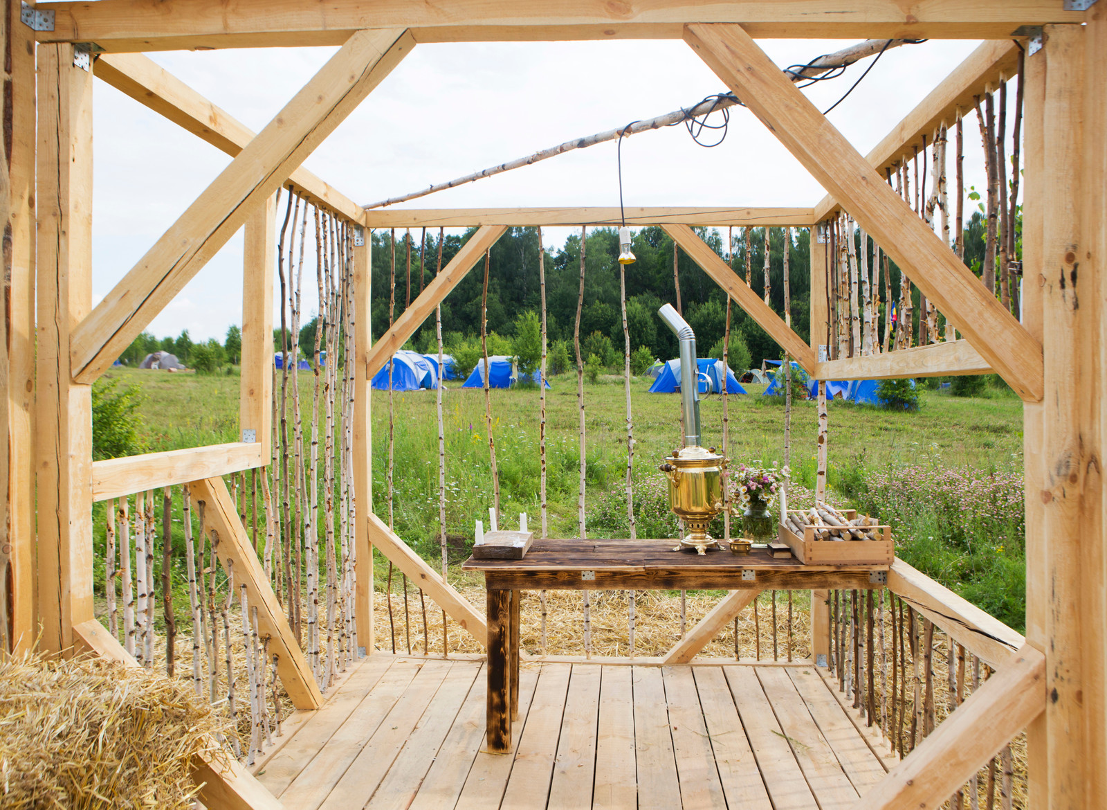 Обложка статьи: Портрет: Гостиница-теплица и архитектурные «чудеса» парка «Ясно Поле»