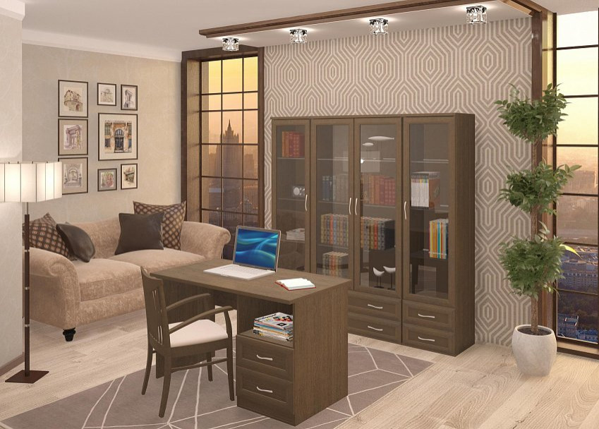 Домашние кабинеты и библиотеки