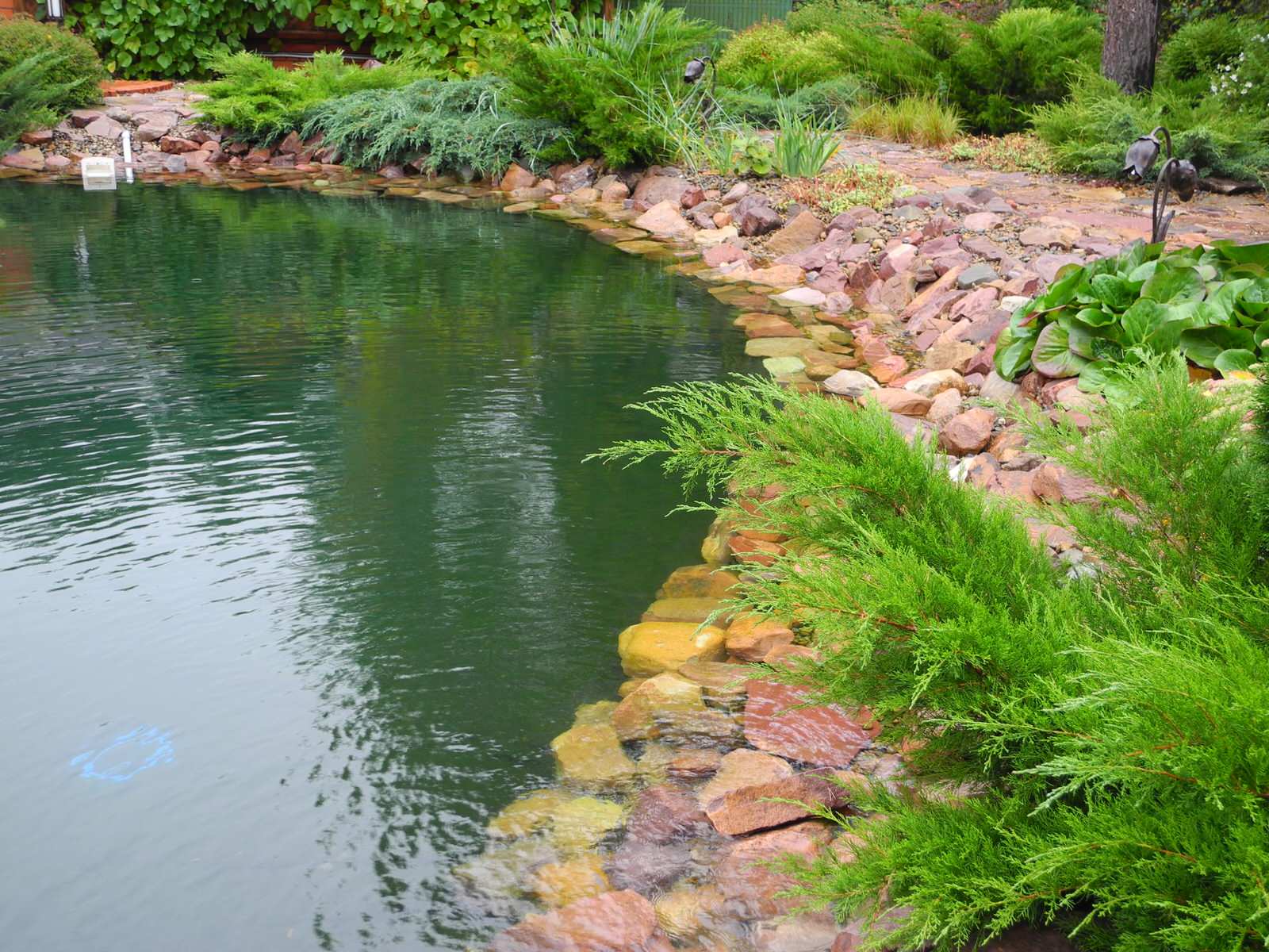 Водоём на участке