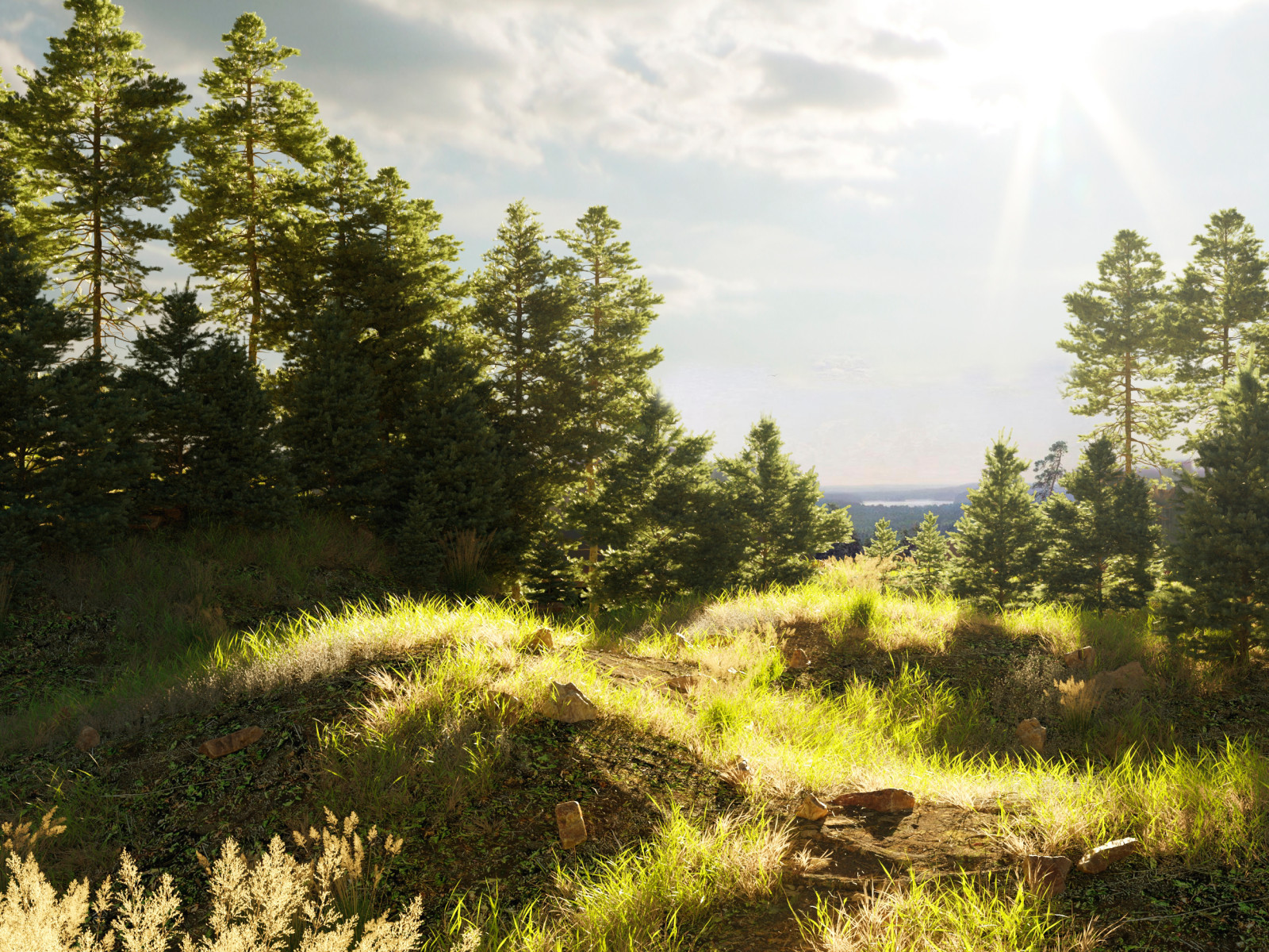 Обложка проекта: Дальнее озеро