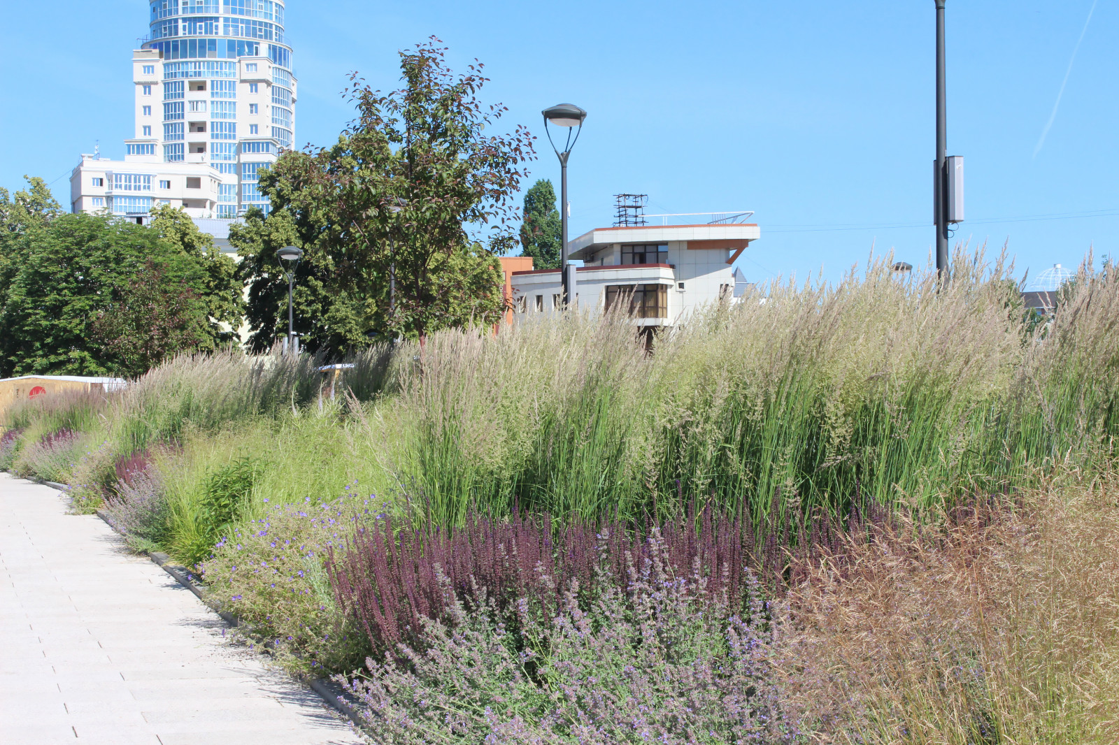 Цветники Советской площади