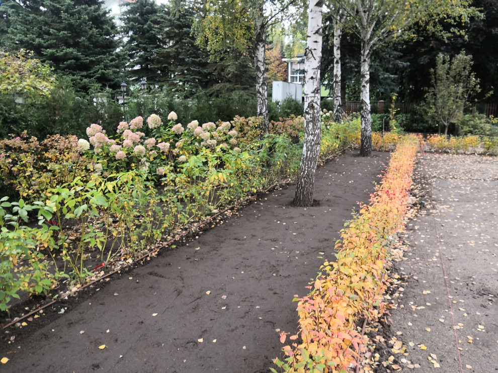 Landscape design of the territory (Moscow region)