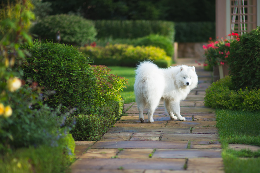 Регулярная классика