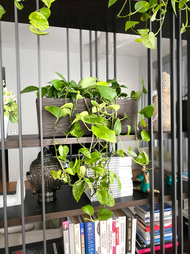 Озеленение гостиной