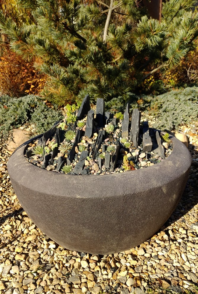 Альпинарии