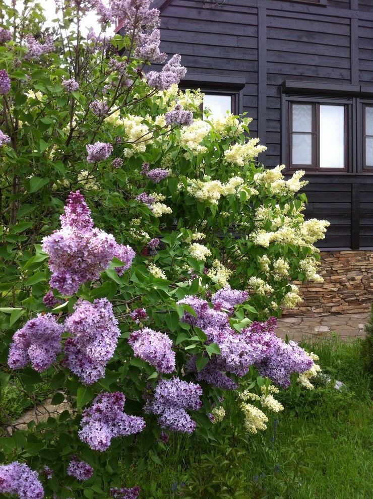 Сад на выходные