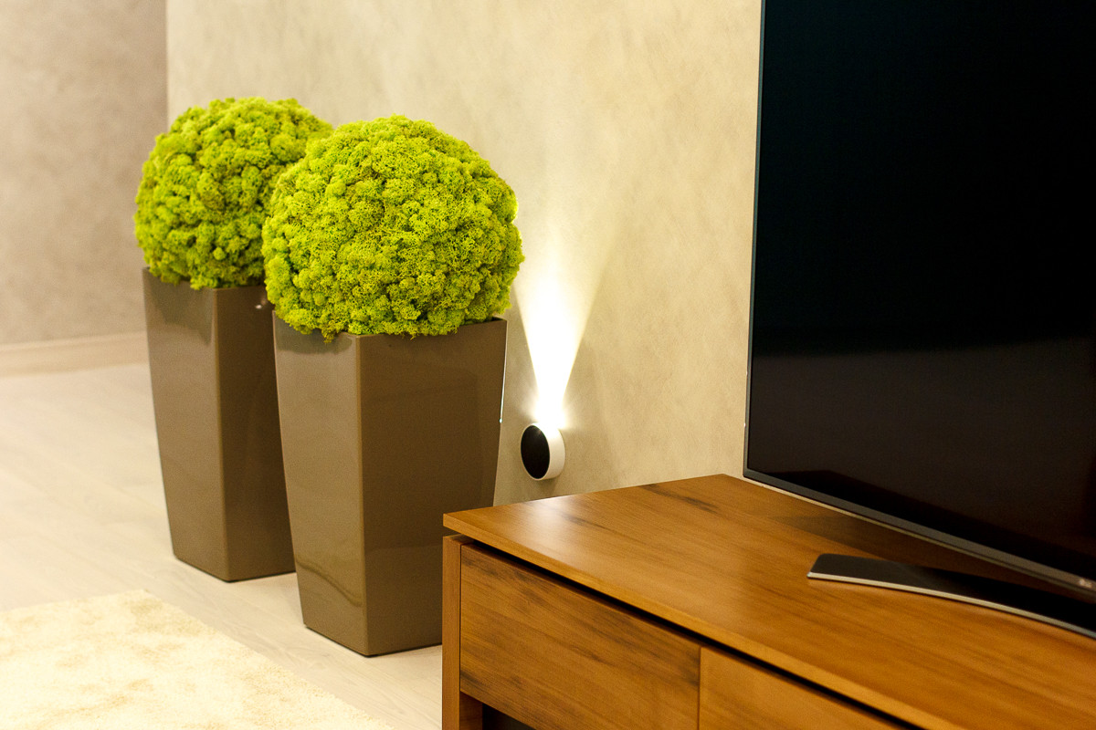 Гостиная. Реализация. Квартира для молодых и успешных