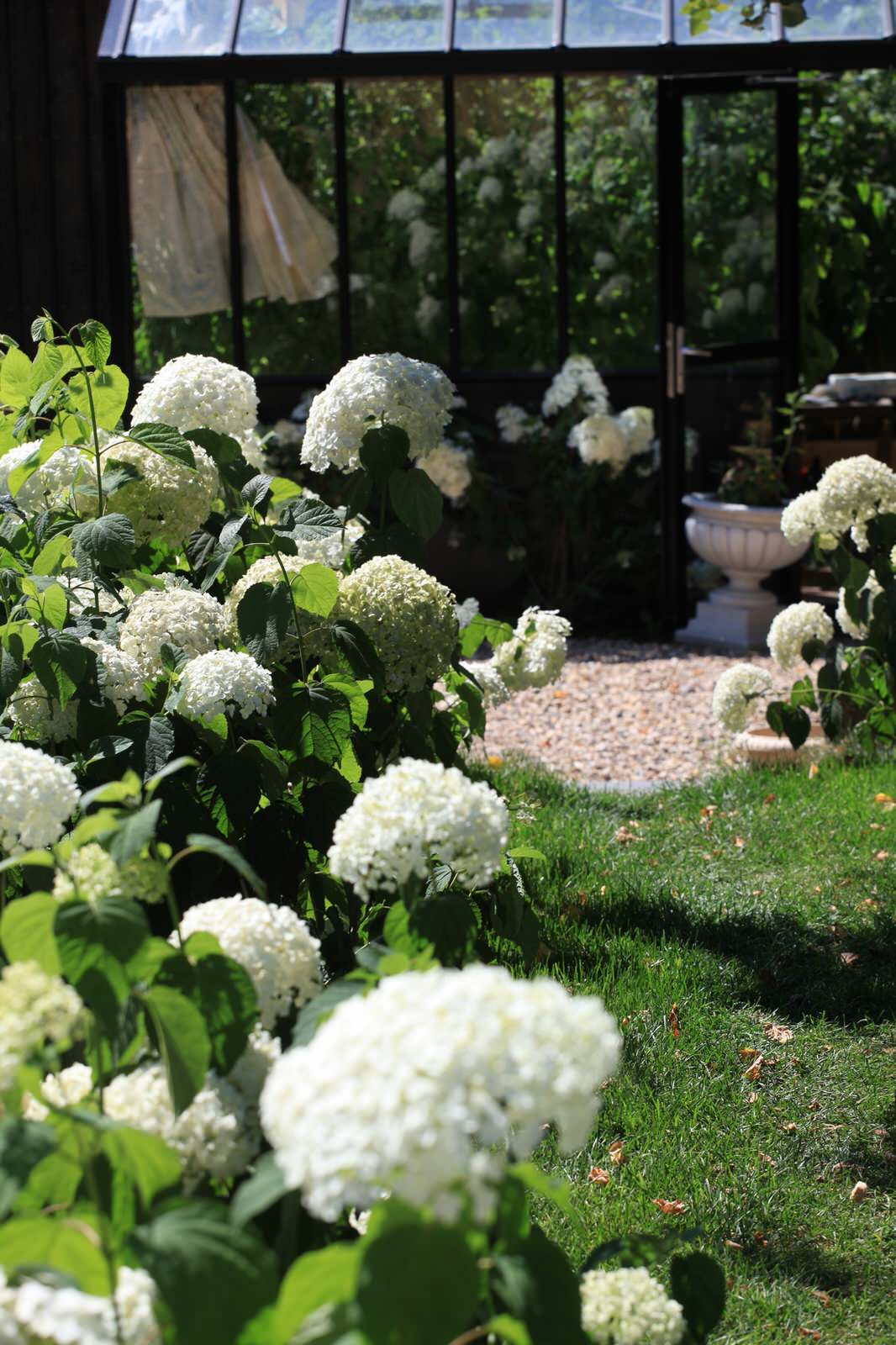 Николина гора, «д. Маслово», 35 соток