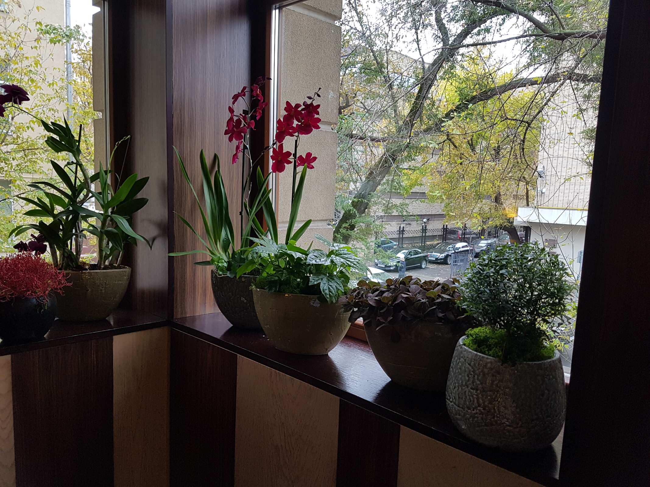 ресторан Аист на Малой Бронной