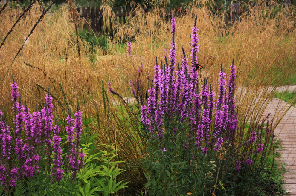 Сад "Три плюс два"