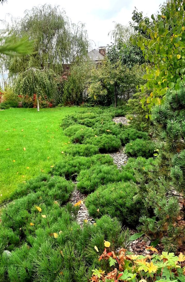 Сад на краю деревни.