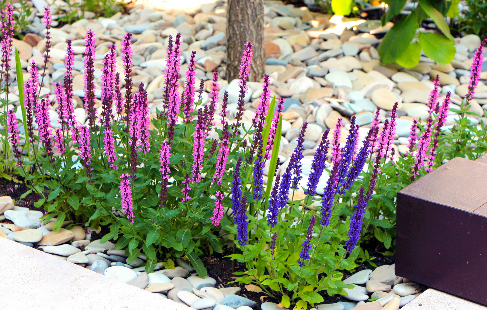 Павлово-2, 2015 г.