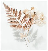 Екатерина Масолыгина