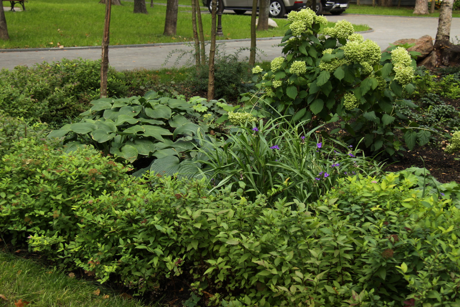 Обложка проекта: Теневые сады