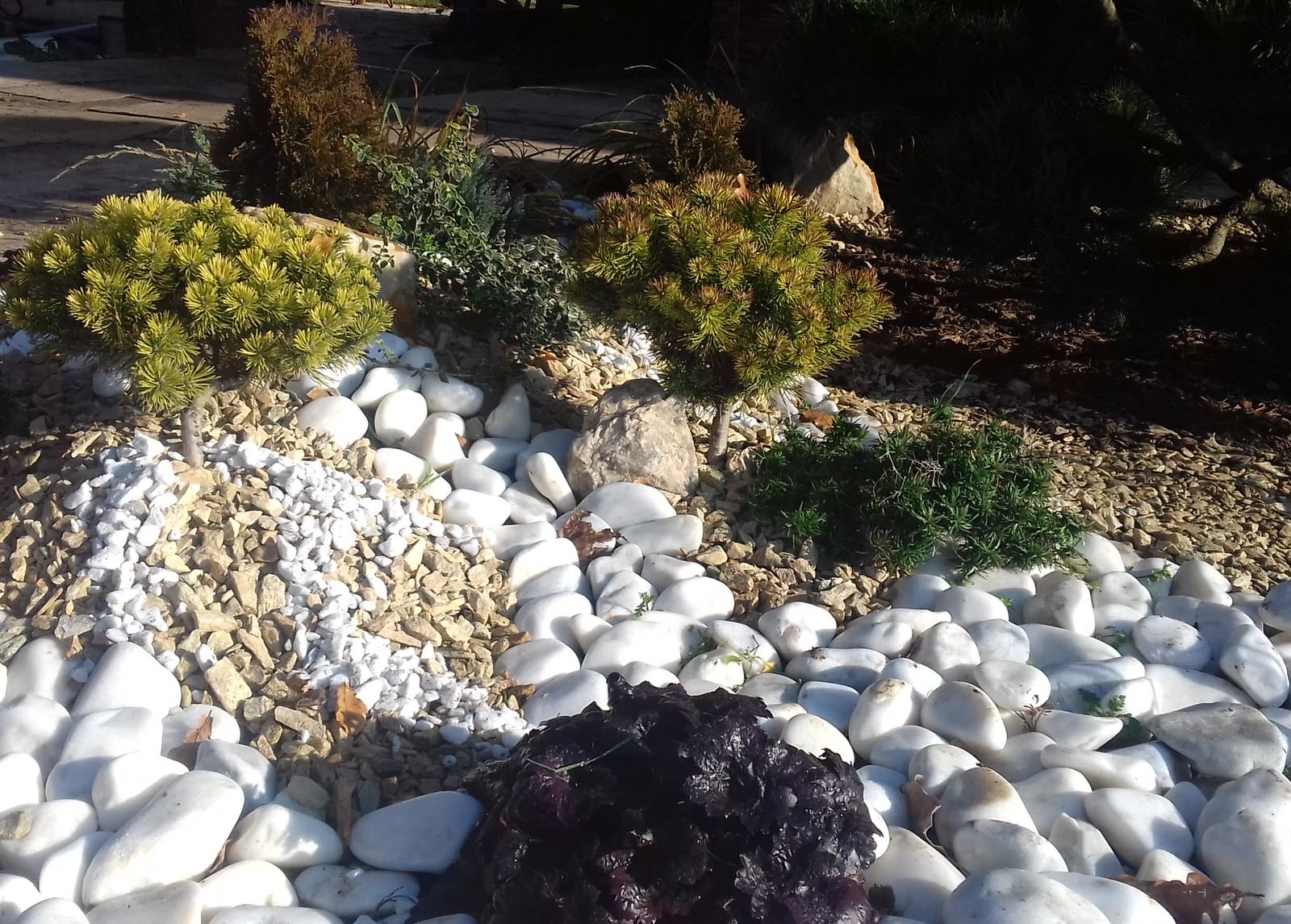 Дизайн клумбы с бонсаем. Фрагмент