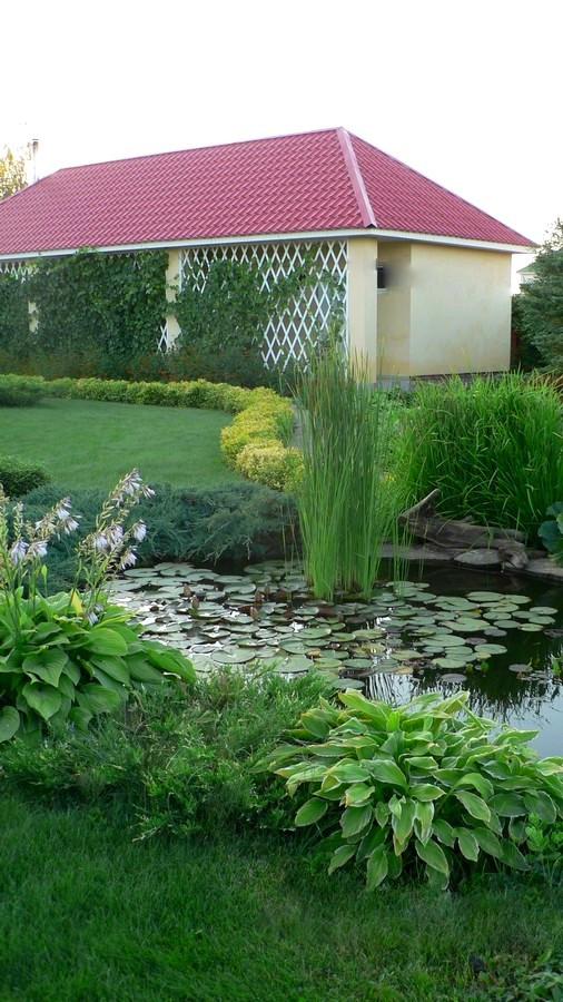 "Северное сияние"