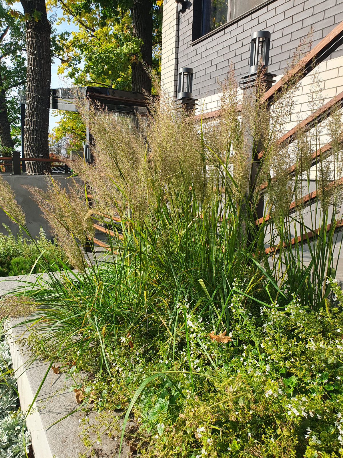 Частный сад