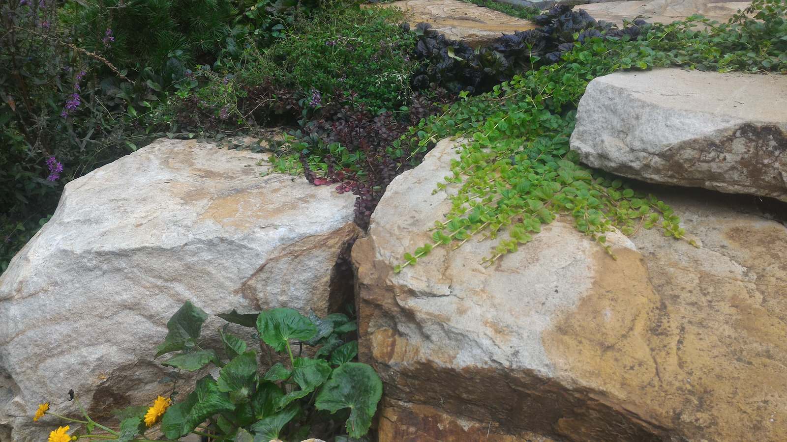 Натуральный камень в саду