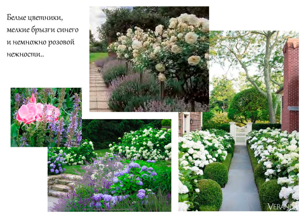 Классика в белом. Аналоги.