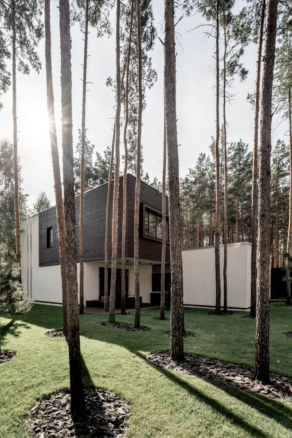 Residential Forest House in Ukraine - Live Minimalism