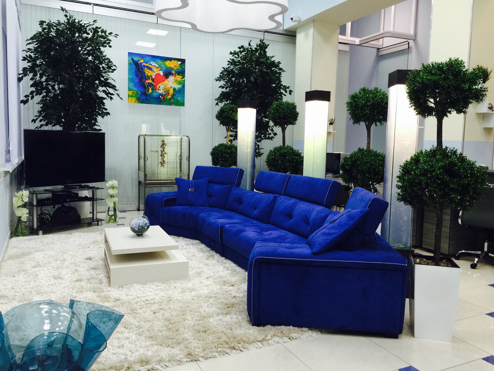 Офис с деревьями