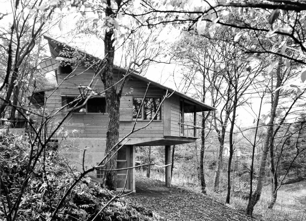 Влияние Фрэнка Ллойда Райта на японскую архитектуру: Часть 2